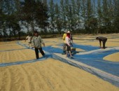 Filter net used for agriculture