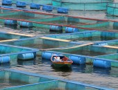 filter net for fishing